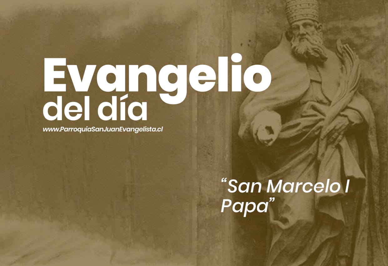 Evangelio del Día Memoria de San Marcelo I Papa 16 de Enero